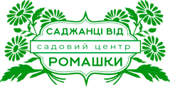 Саджанці від Ромашки